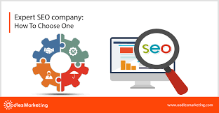 expert seo company