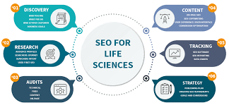 seo partner