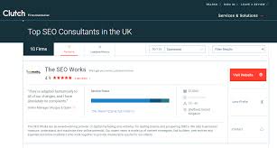 website seo consultant